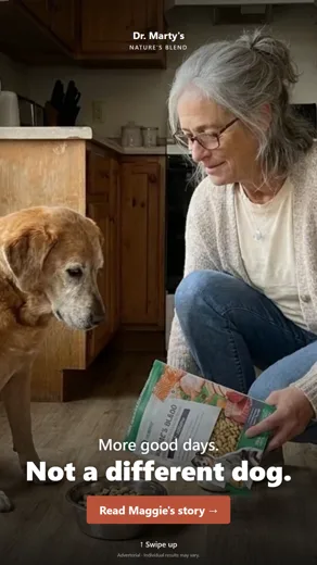 Story ad creative